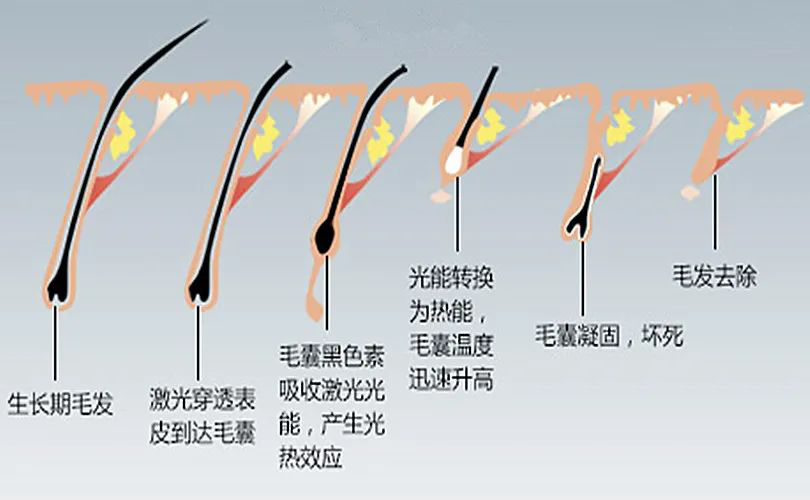 图片3.png 图片3.png