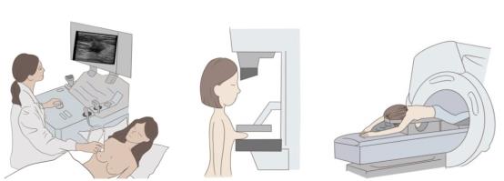 文本

低可信度描述已自动生成