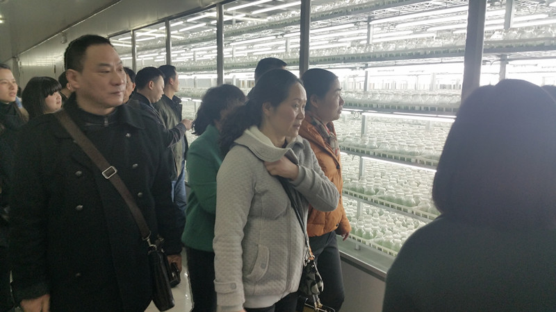我院组织药学人员参观九仙尊霍山石斛股份有限公司-2.jpg