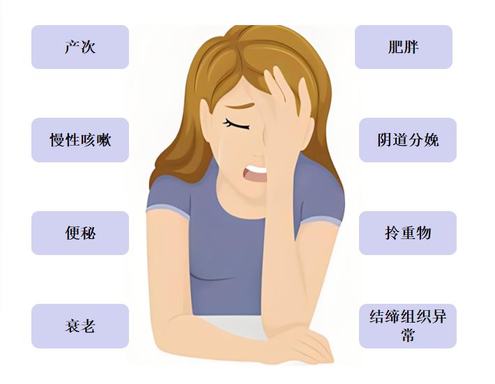 图片3 图片3.png