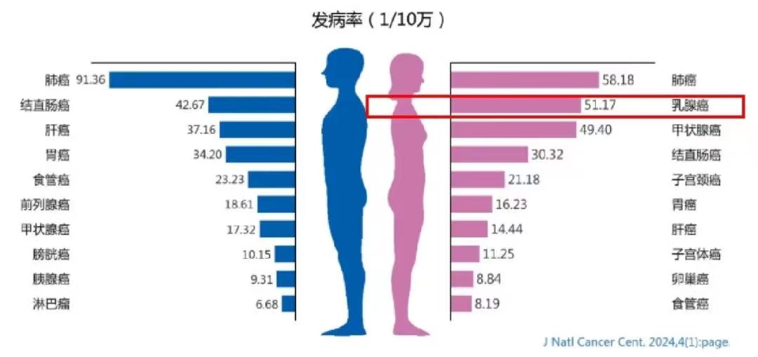 图片1 图片1.png