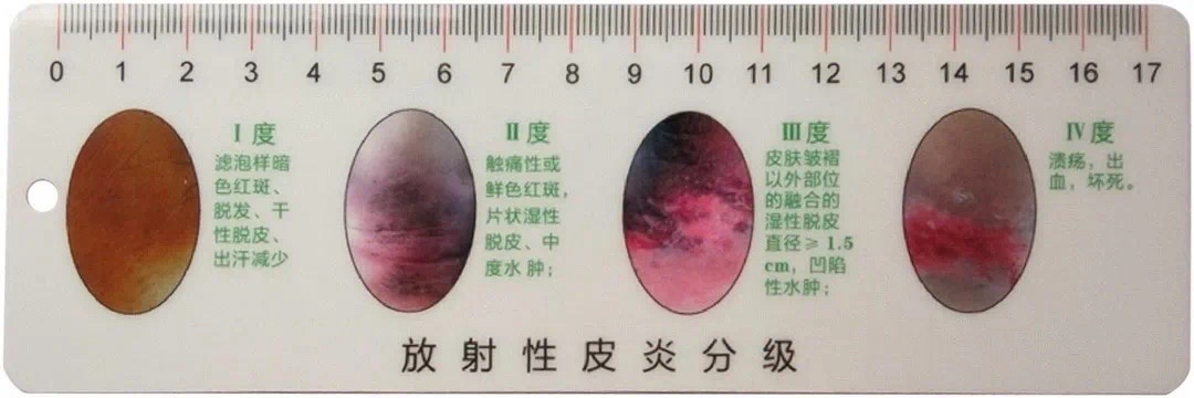 图片4 图片4.png
