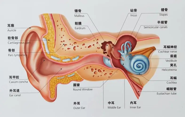 图片1 图片1.png