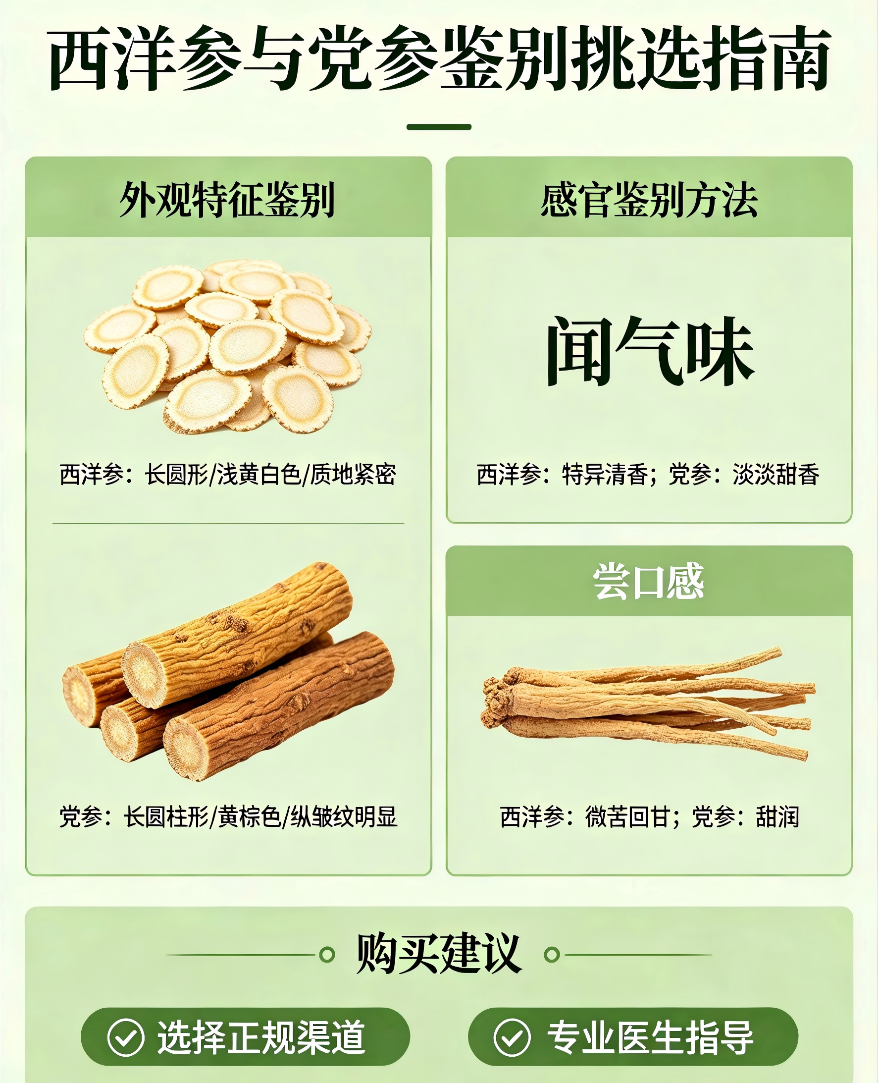 西洋参和党参图片生成(1).png